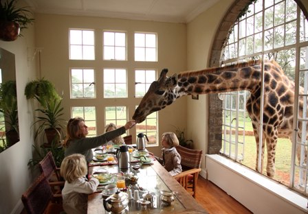 Giraffe Manor