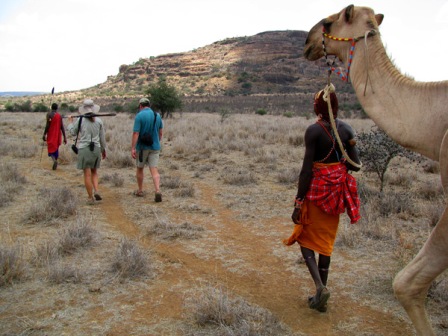 Walking Safari